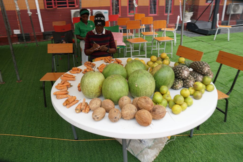Open Day & Village Market Day